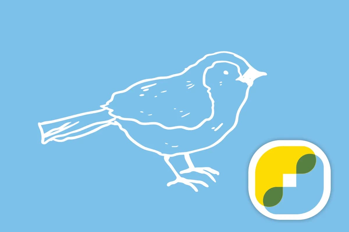 Con murales, artistas hacen florecer la colonia Fovissste Diamante